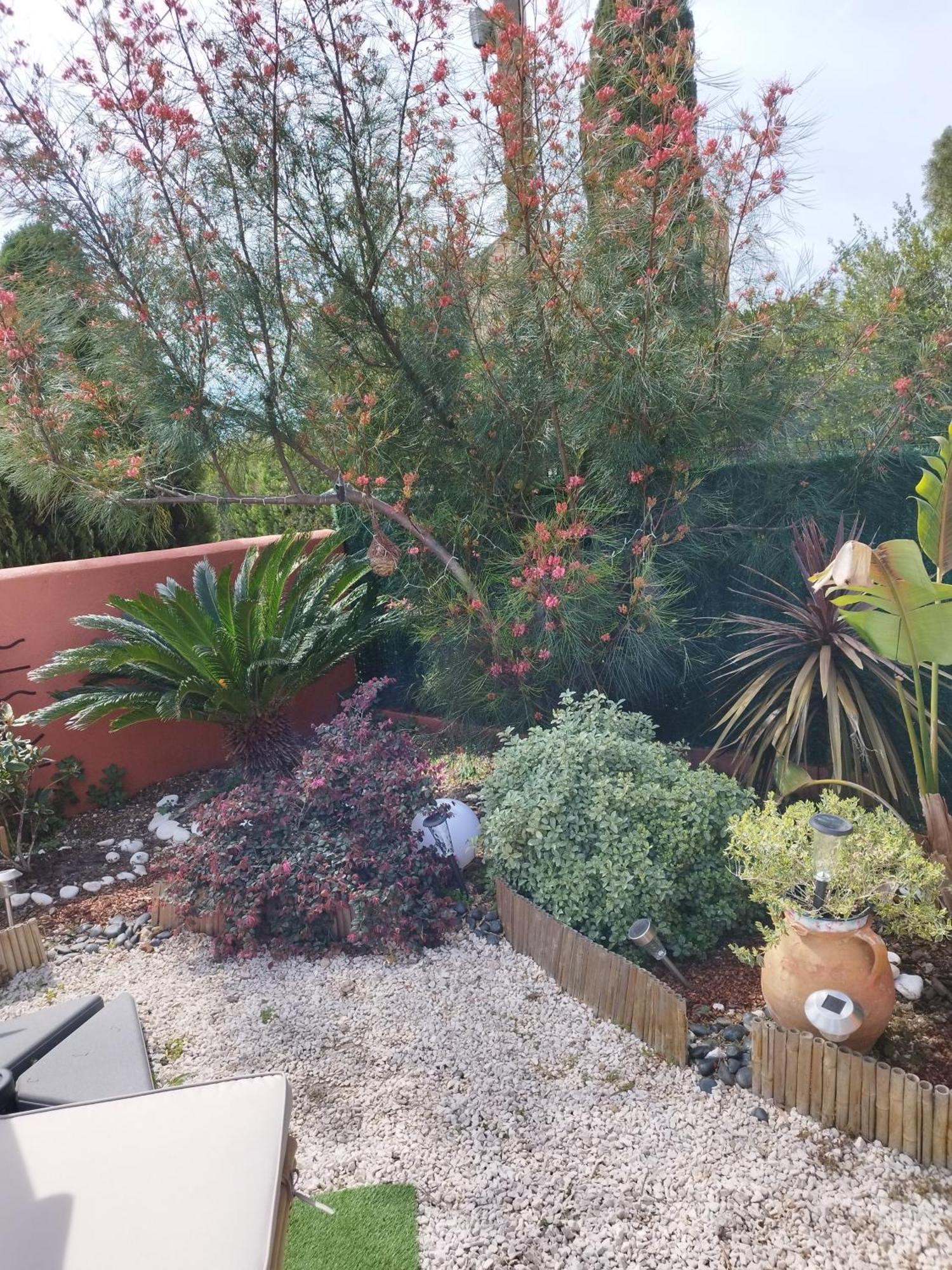 Le Petit Atelier Villa Bormes-les-Mimosas Rum bild